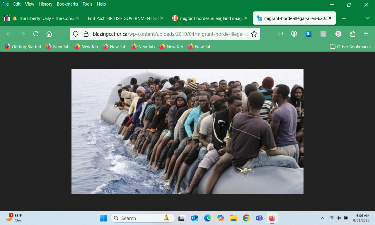 1.2 million illegals in the UK